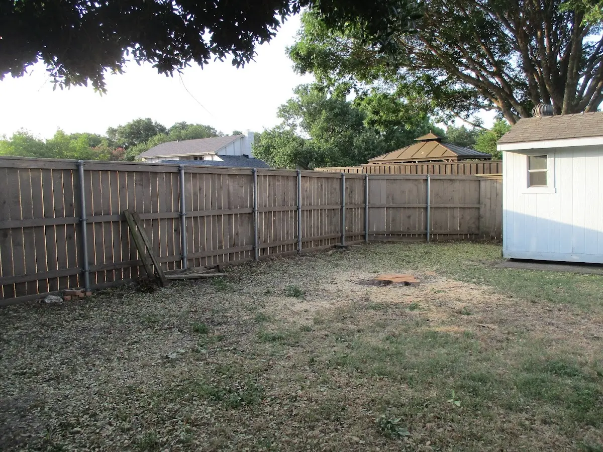 Cleared yard after professional tree removal in Willsboro